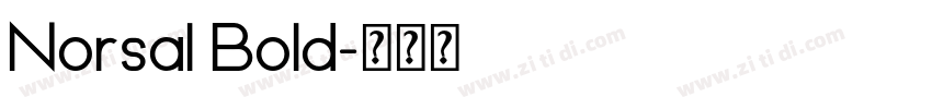 Norsal Bold字体转换